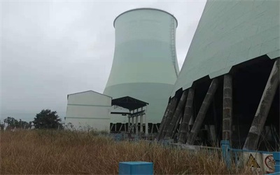 藻類(lèi)對(duì)循環(huán)冷卻水系統(tǒng)的危害 藻類(lèi)對(duì)循環(huán)冷卻水系統(tǒng)的危害